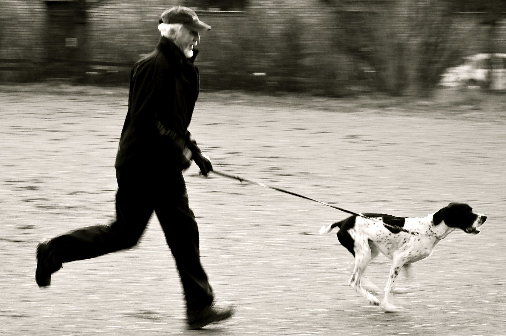 Man exercising dog on beach