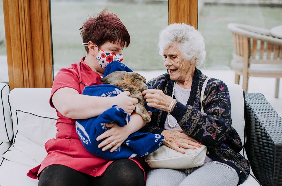 Care staff member and resident enjoying a rabbit