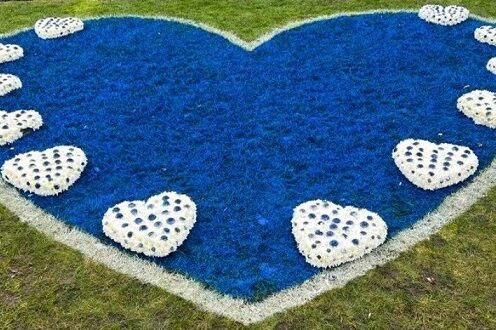 Blue heart made of flowers