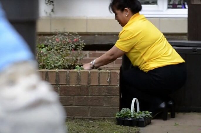 Volunteer gardener in a care home garden